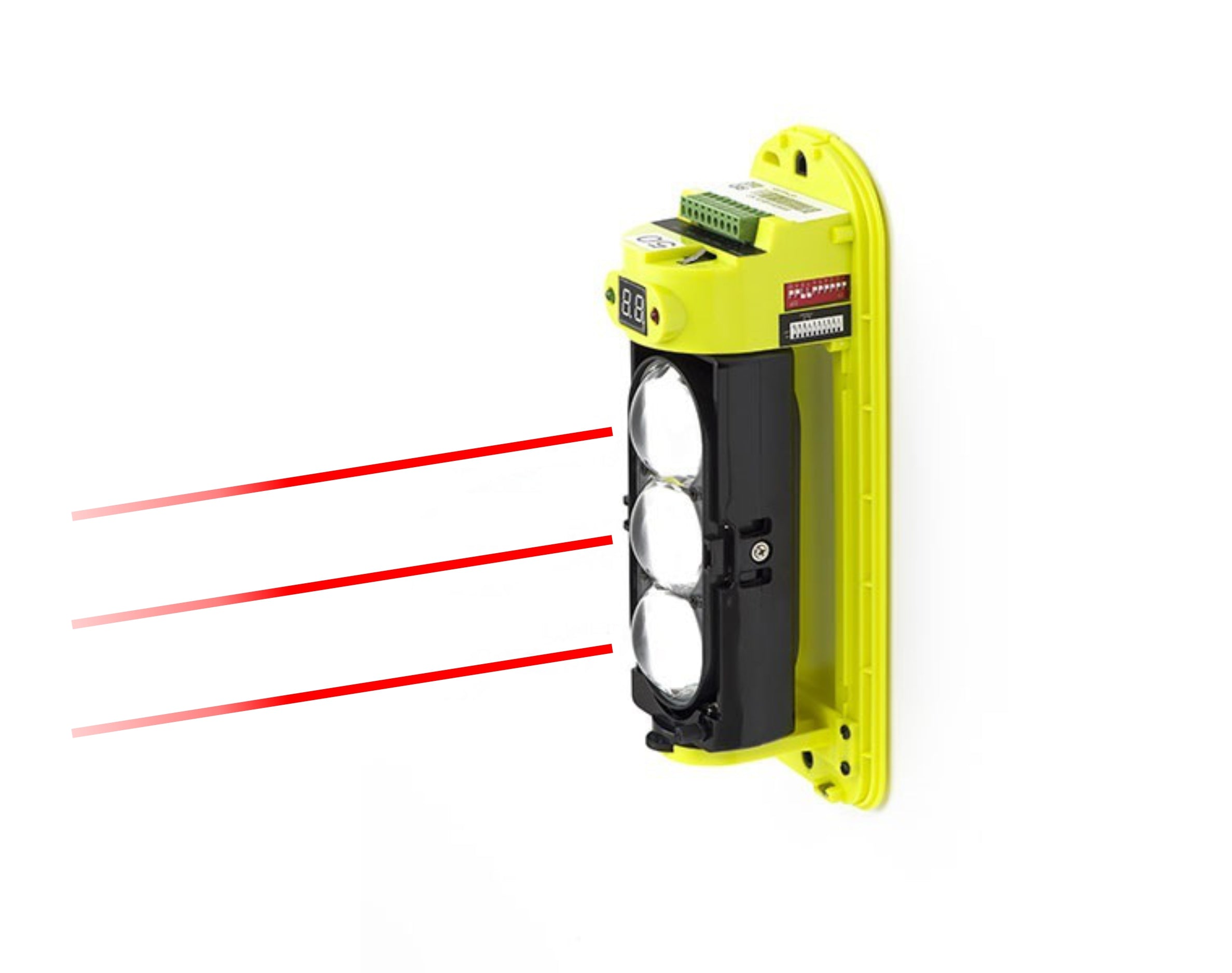 NEWTON LIGHT 50