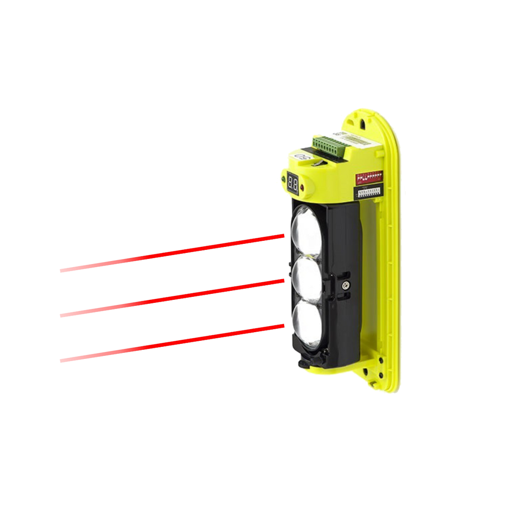 NEWTON LIGHT 200