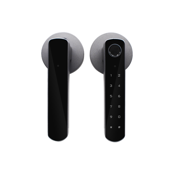 D100(Grey)