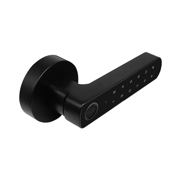 D100(Black)