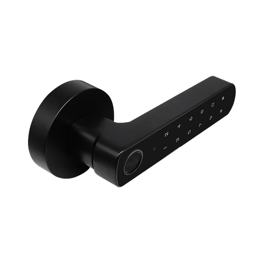 D100(Black)