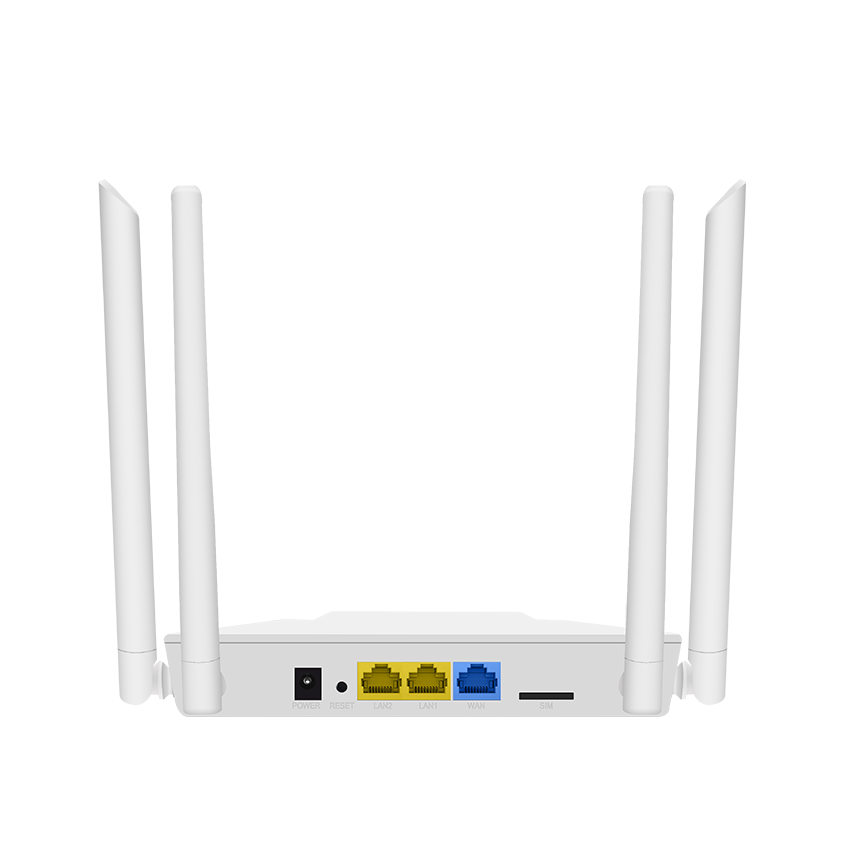 WI-LTE300