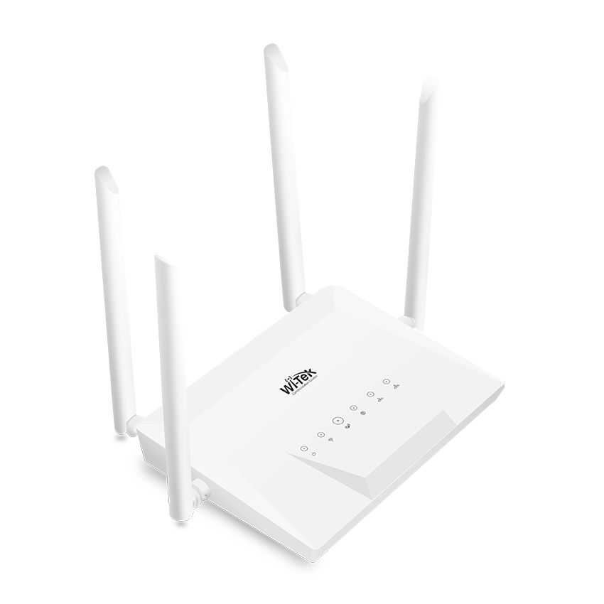 WI-LTE300