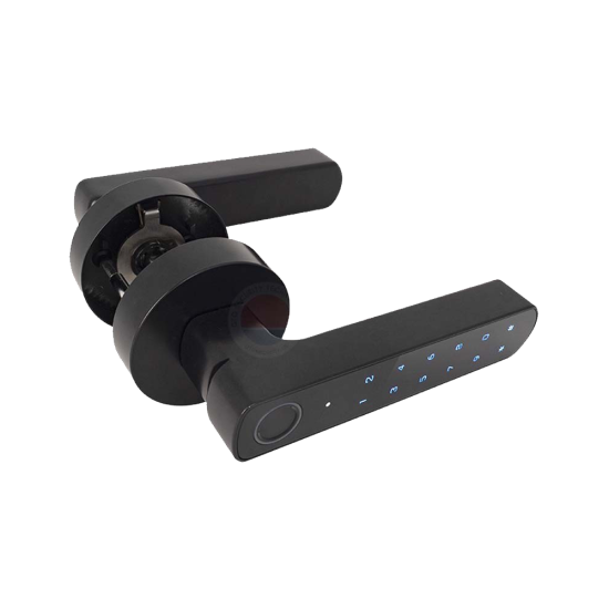 D100-BT(Black)
